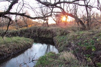 Silver Creek Biodiversity Preserve