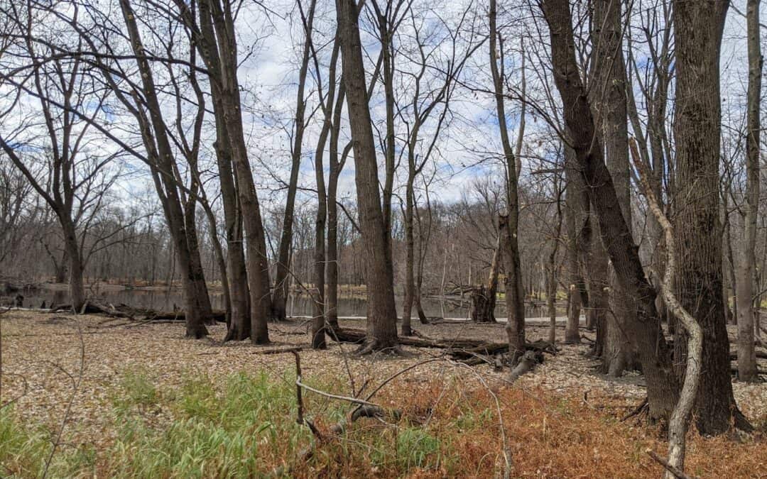 Pecatonica River Forest Preserve