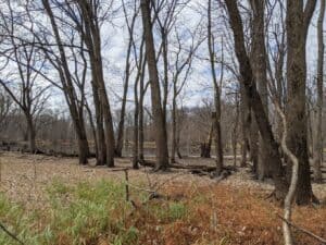 Pecatonica River