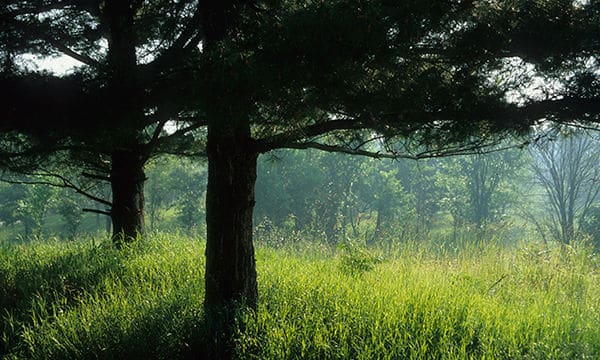 Castle Rock State Park