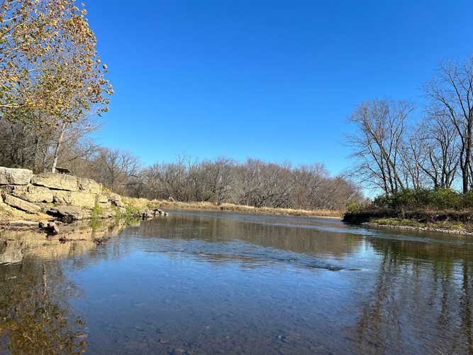 Espenscheid Forest Preserve