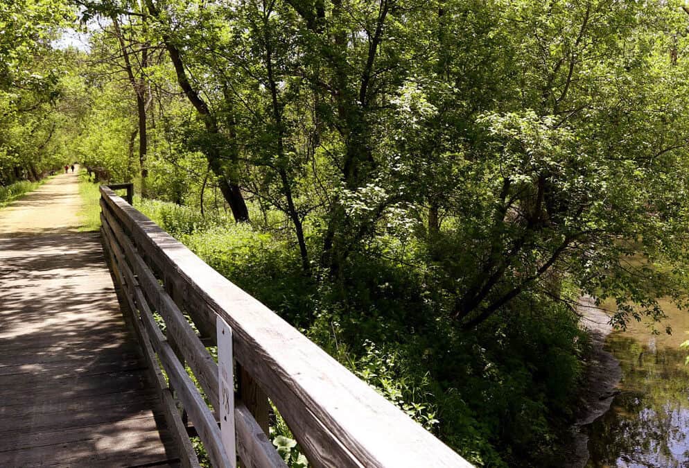 Jane Addams Trail – Orangeville Wetlands